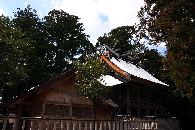鬱蒼たる林に包まれる須佐神社