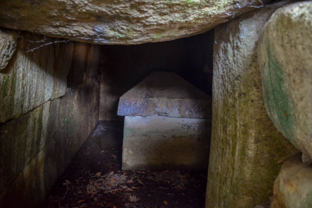 墓所に隣接した林の中に大きな石を積んだ石室があり、中に石棺も見える