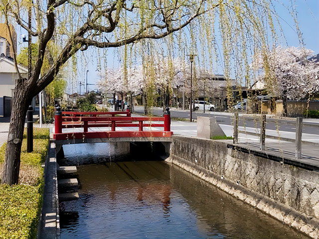 褤̤äƤ