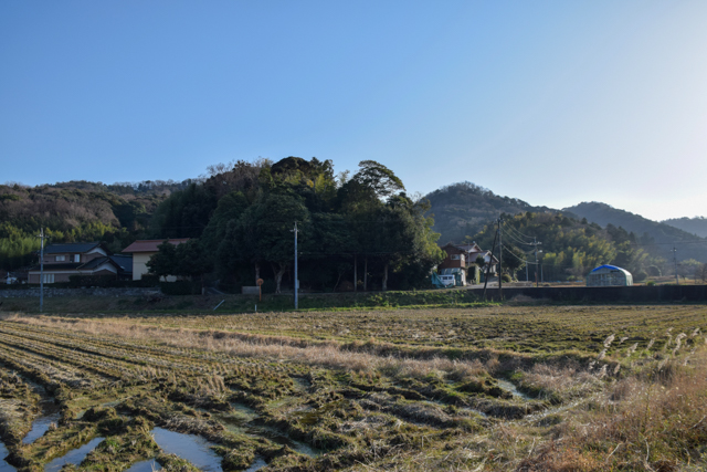 �����Ȥ������ȱ����ﻳ��������