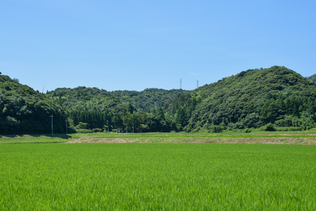 ��ˤ��뻳�¤ߤη�����Ȥ������������ë