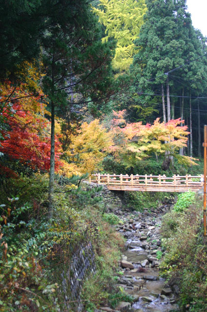 龍源寺間歩は緑深い山のなか。秋は紅葉が美しい。