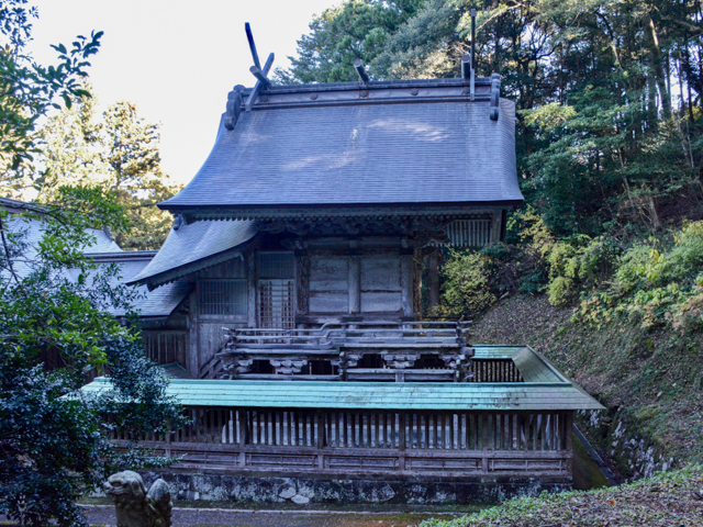 ���¤����礭���⤤����