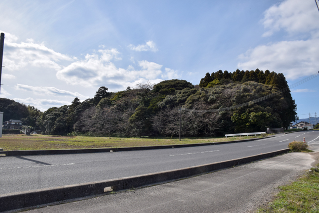 ���ߤ��ü�ο������Τ褦�ʷ��ˤߤ���