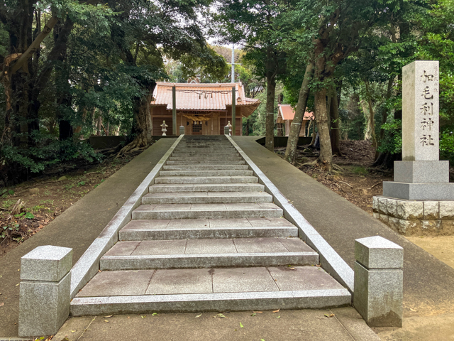 ���Ҥظ����äƤޤä����γ��ʤ��ΤӤƤ���