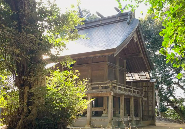 ���Ӥ��椫�饹�����������ڱۤ������¤��ߤ���